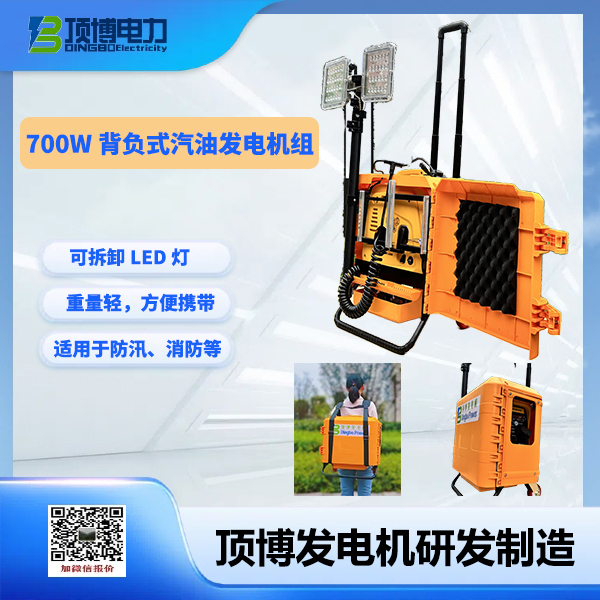 700w背負式汽油發電機組